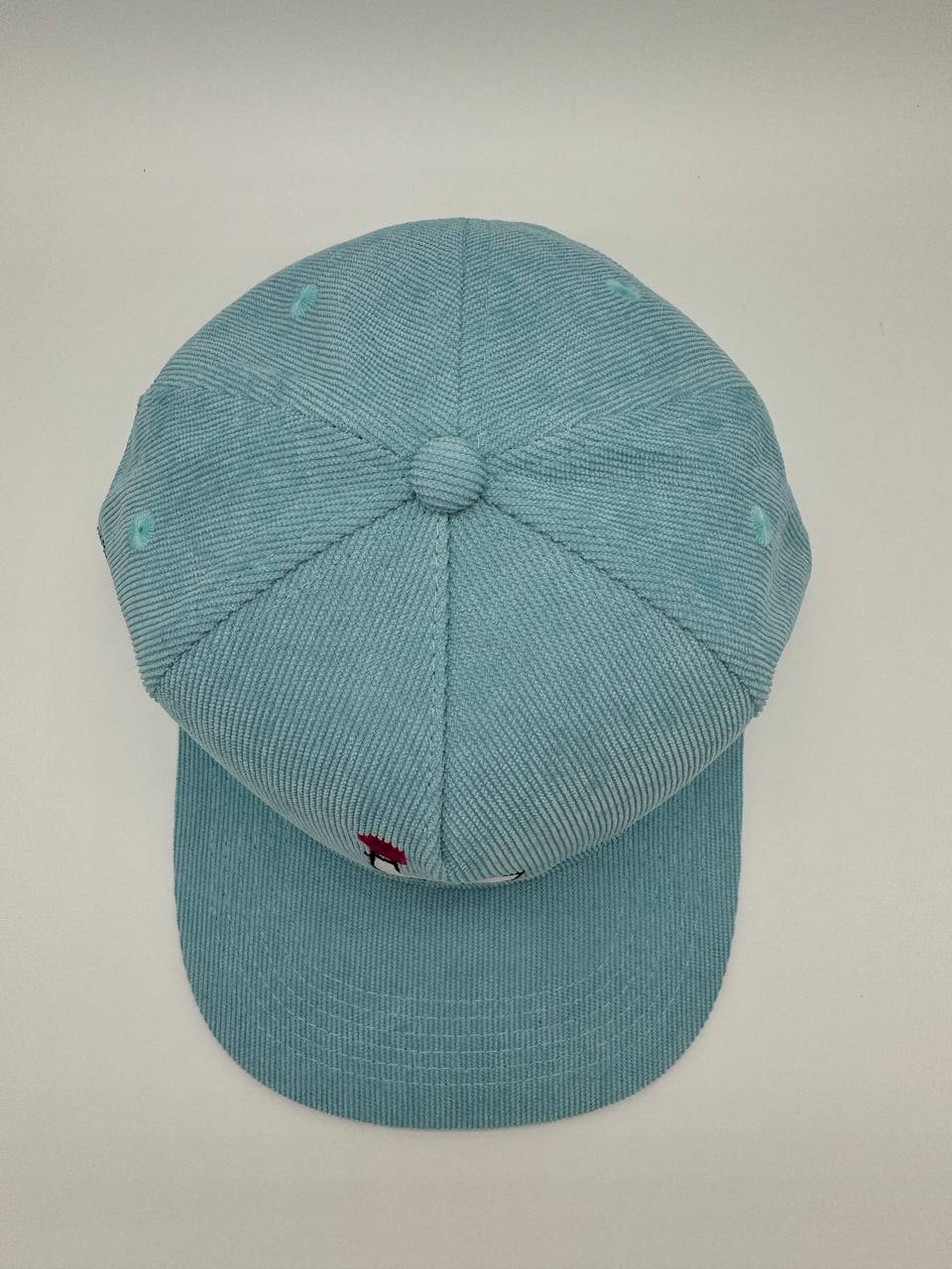 Disco goose snapback cap | Blue