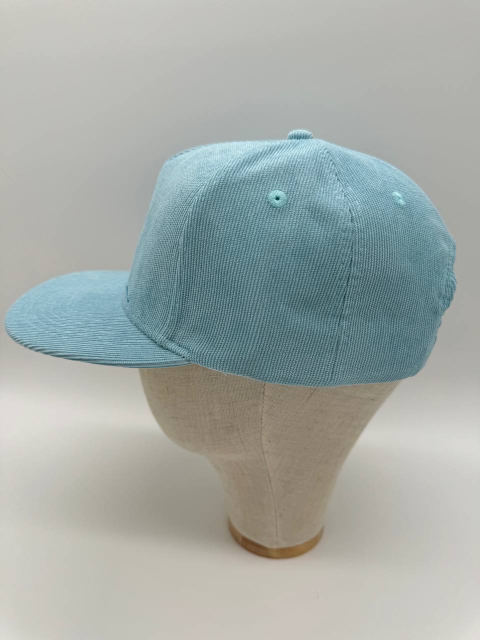 Disco goose snapback cap | Blue